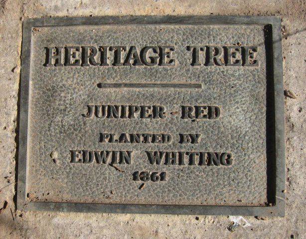 juniper-red-heritage-tree-plaque-1861